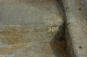 pt reyes 308 step (1 of 1)