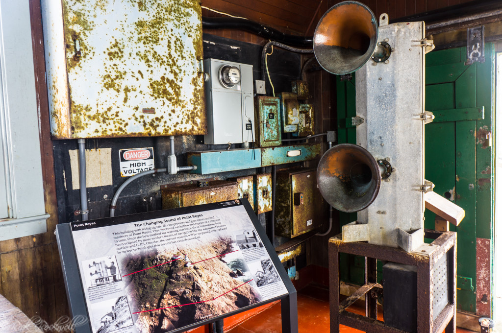 pt reyes inside (1 of 1)