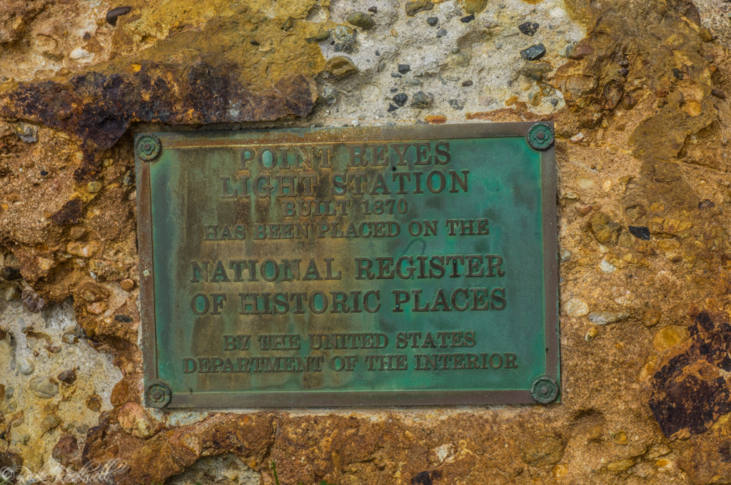 pt reyes plaque (1 of 1)