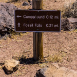 fossil falls trail sign (1 of 1)