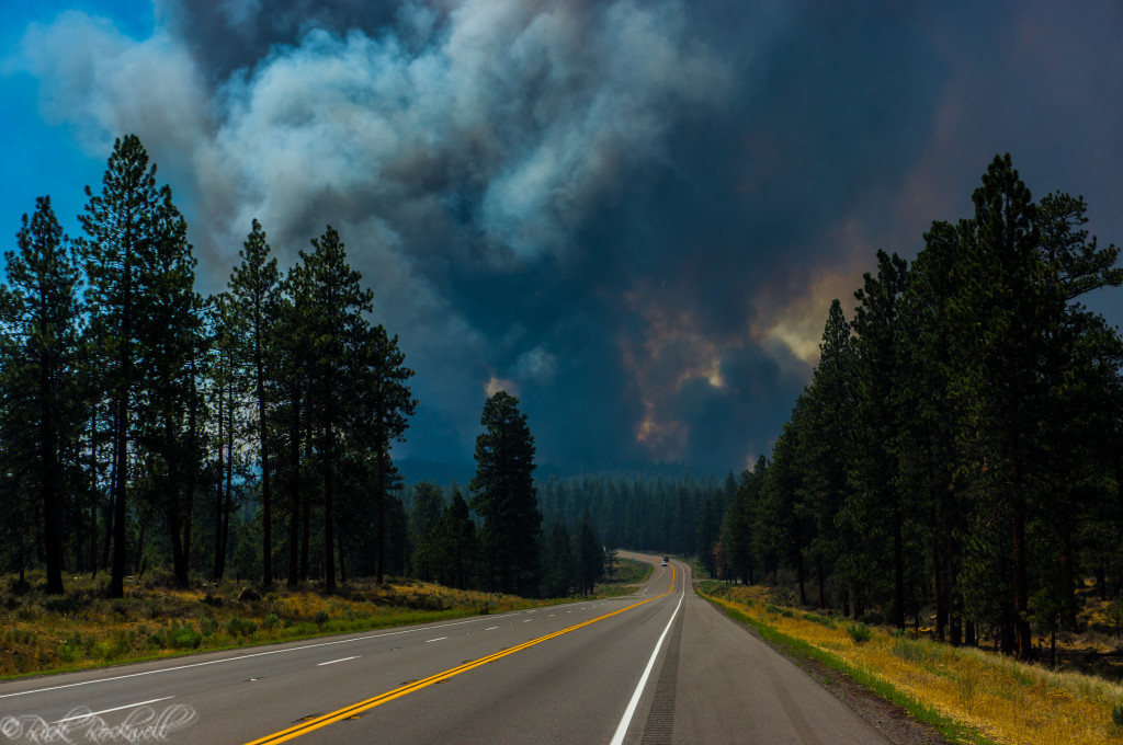 california wildfires essay 2020