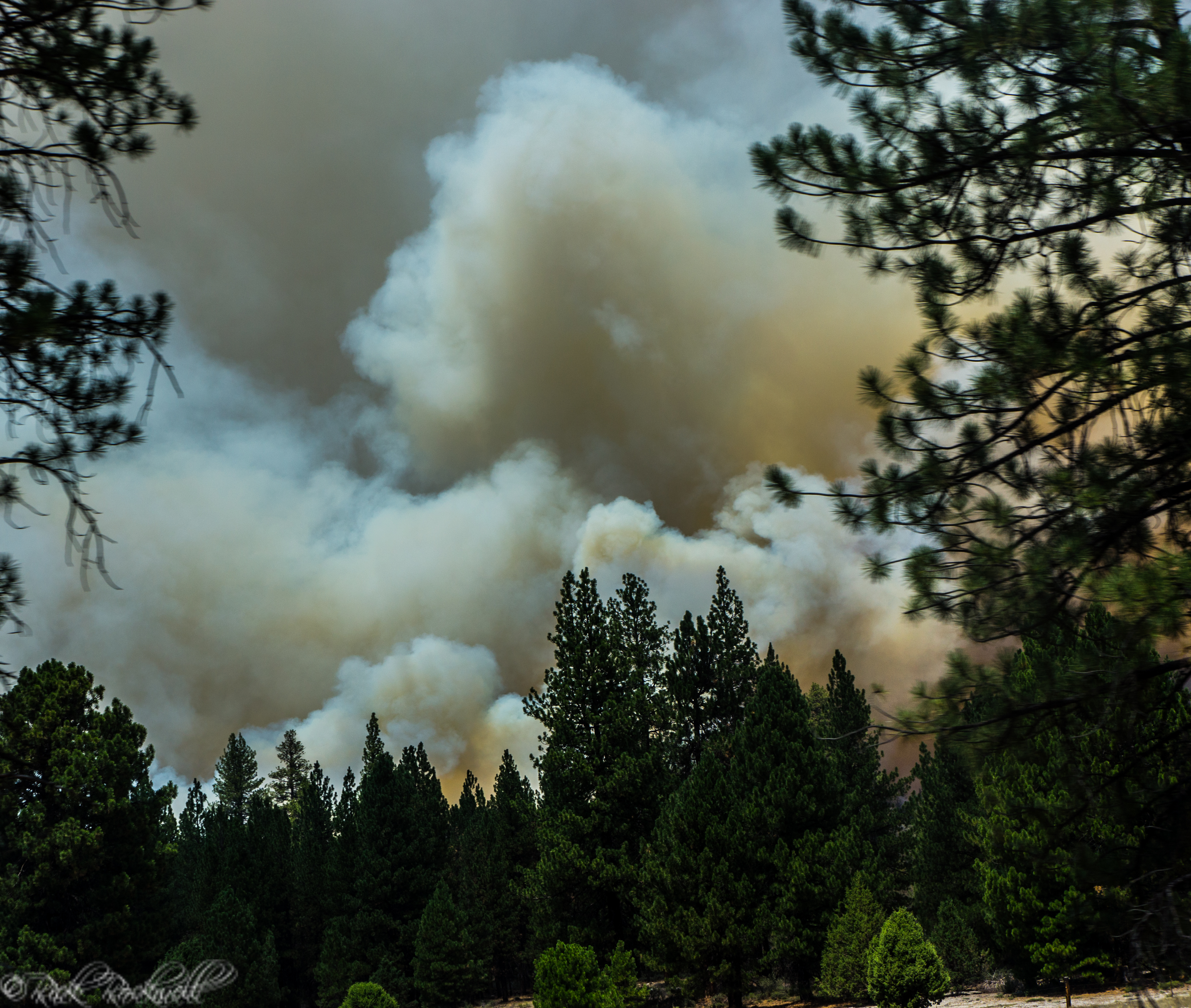 Photo of Drought could lead to severe fire season and more inmate firefighters