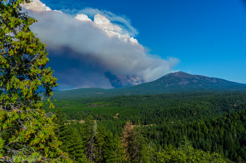 state fire 7 (1 of 1)