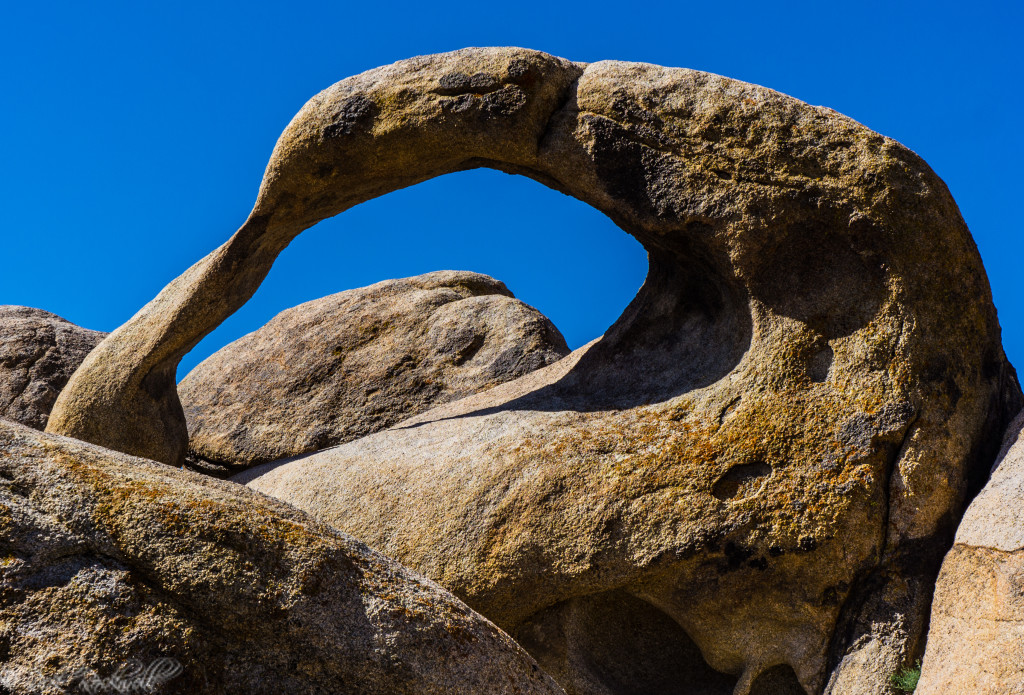 alabama hills mobius 5 (1 of 1)