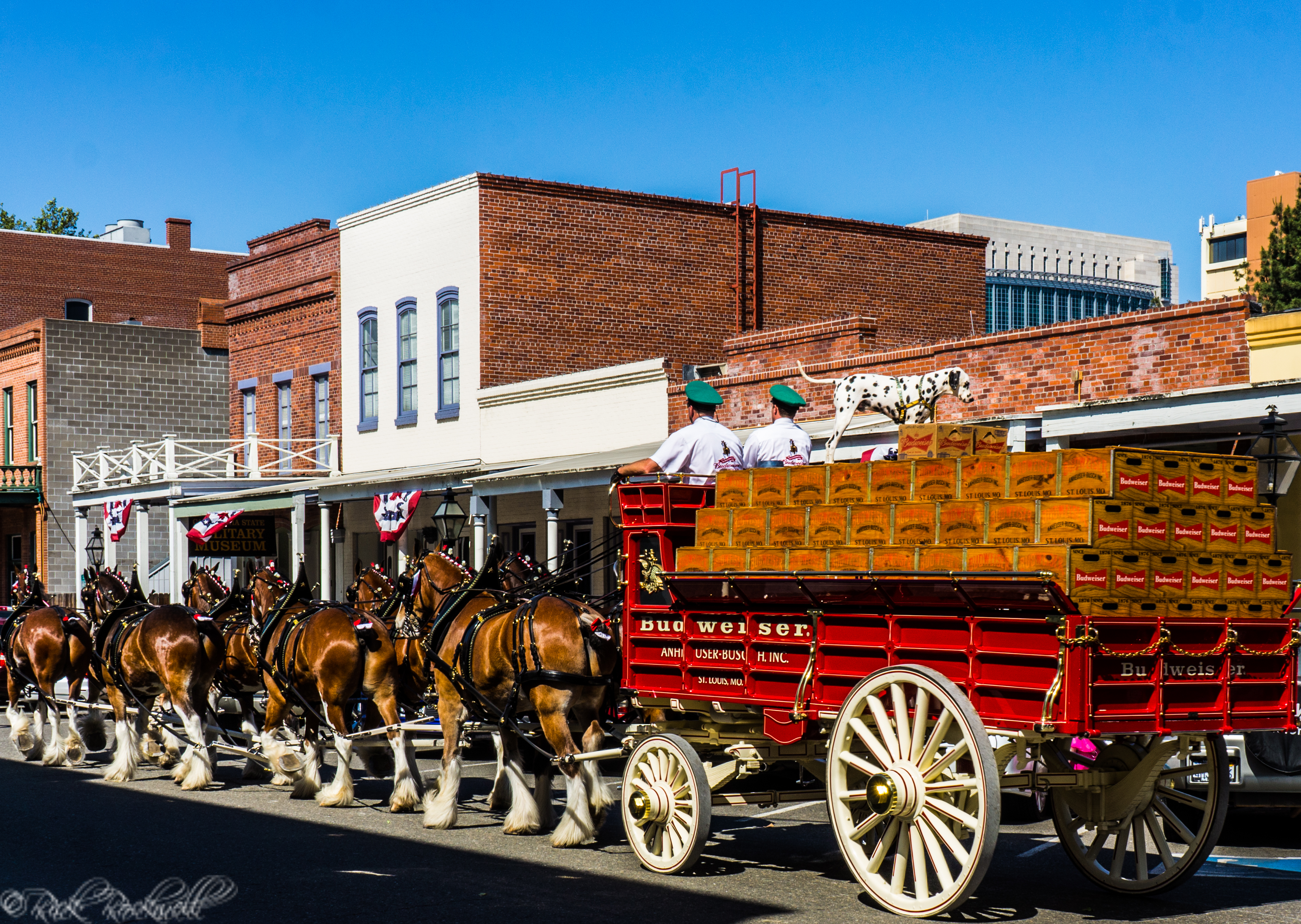 Photo of Photo Essay: The world famous Budweiser Clydesdales