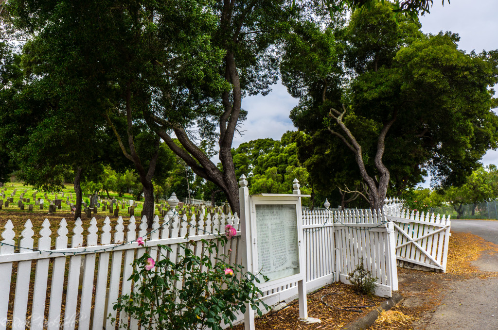 mare island cemetery 2 (1 of 1)