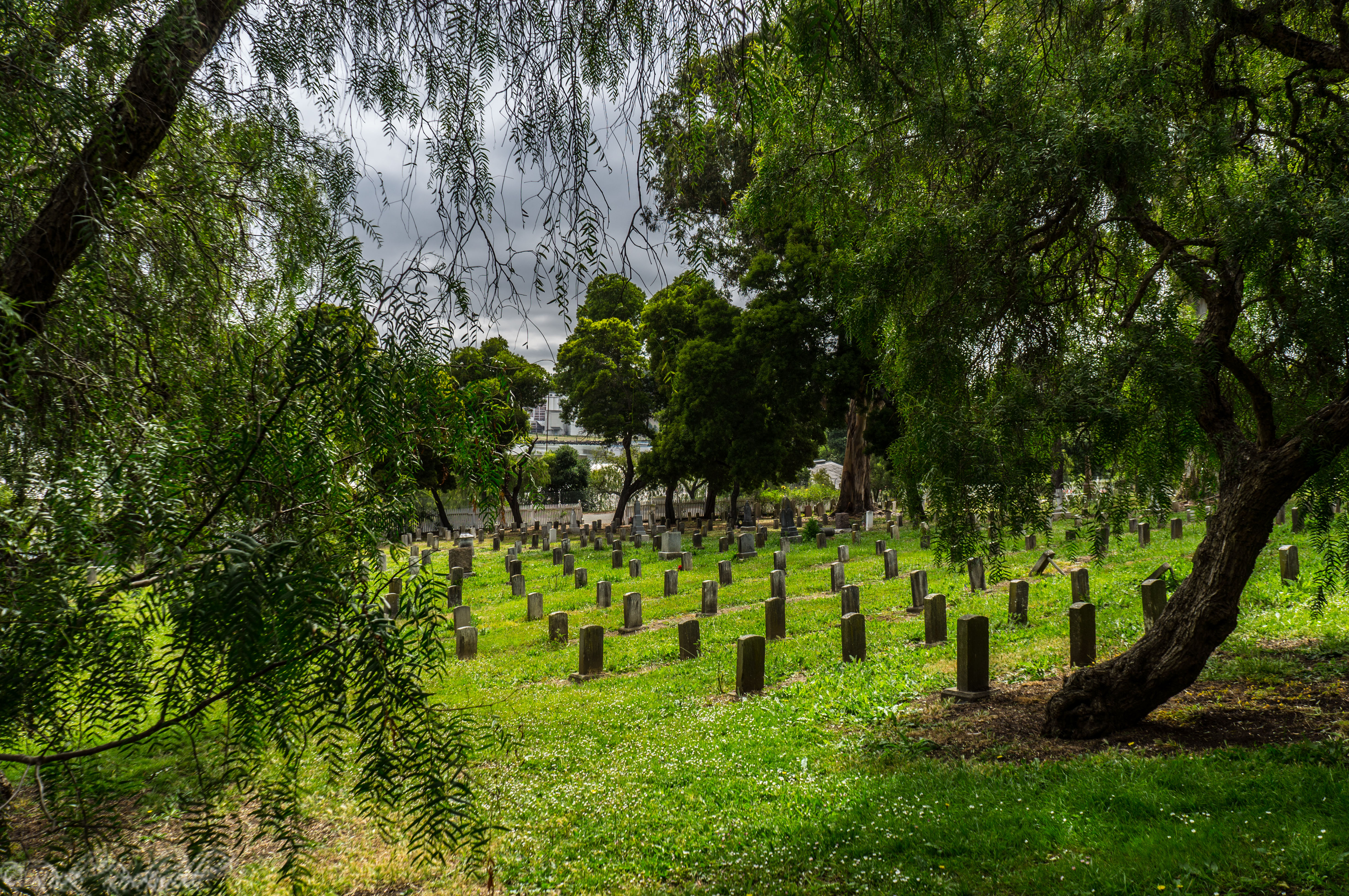 Photo of Top 10 haunted cemeteries in California
