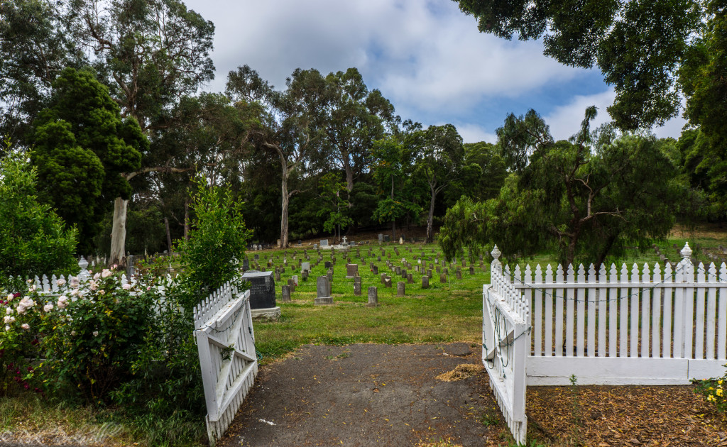mare island cemetery 6 (1 of 1)