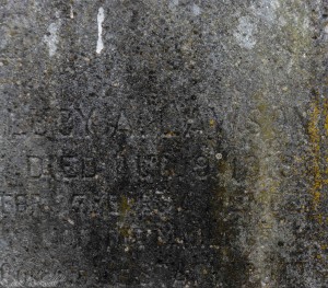 mare island cemetery lucy (1 of 1)