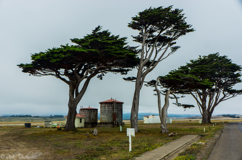 point arena towers (1 of 1)