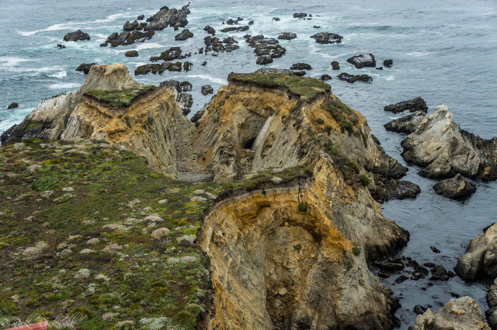 point arenas coast 2 (1 of 1)