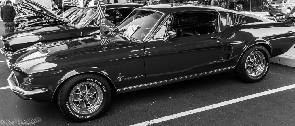 vettes for vets 21 (1 of 1)