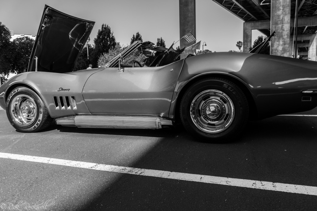 vettes for vets 26 (1 of 1)