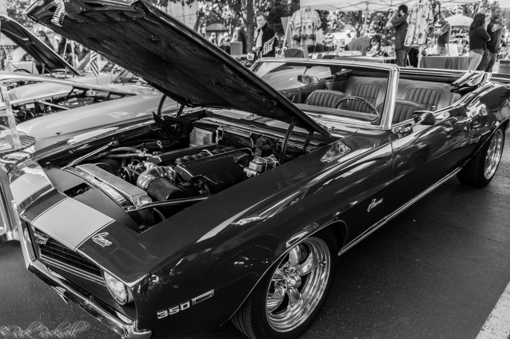 vettes for vets 28 (1 of 1)