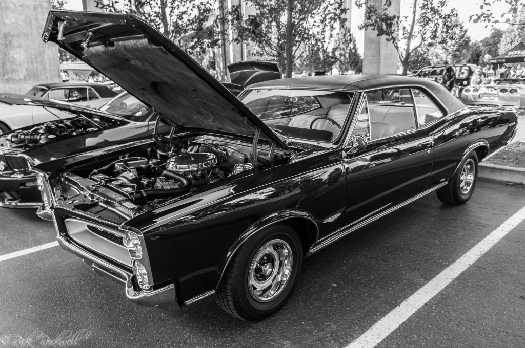 vettes for vets 29 (1 of 1)