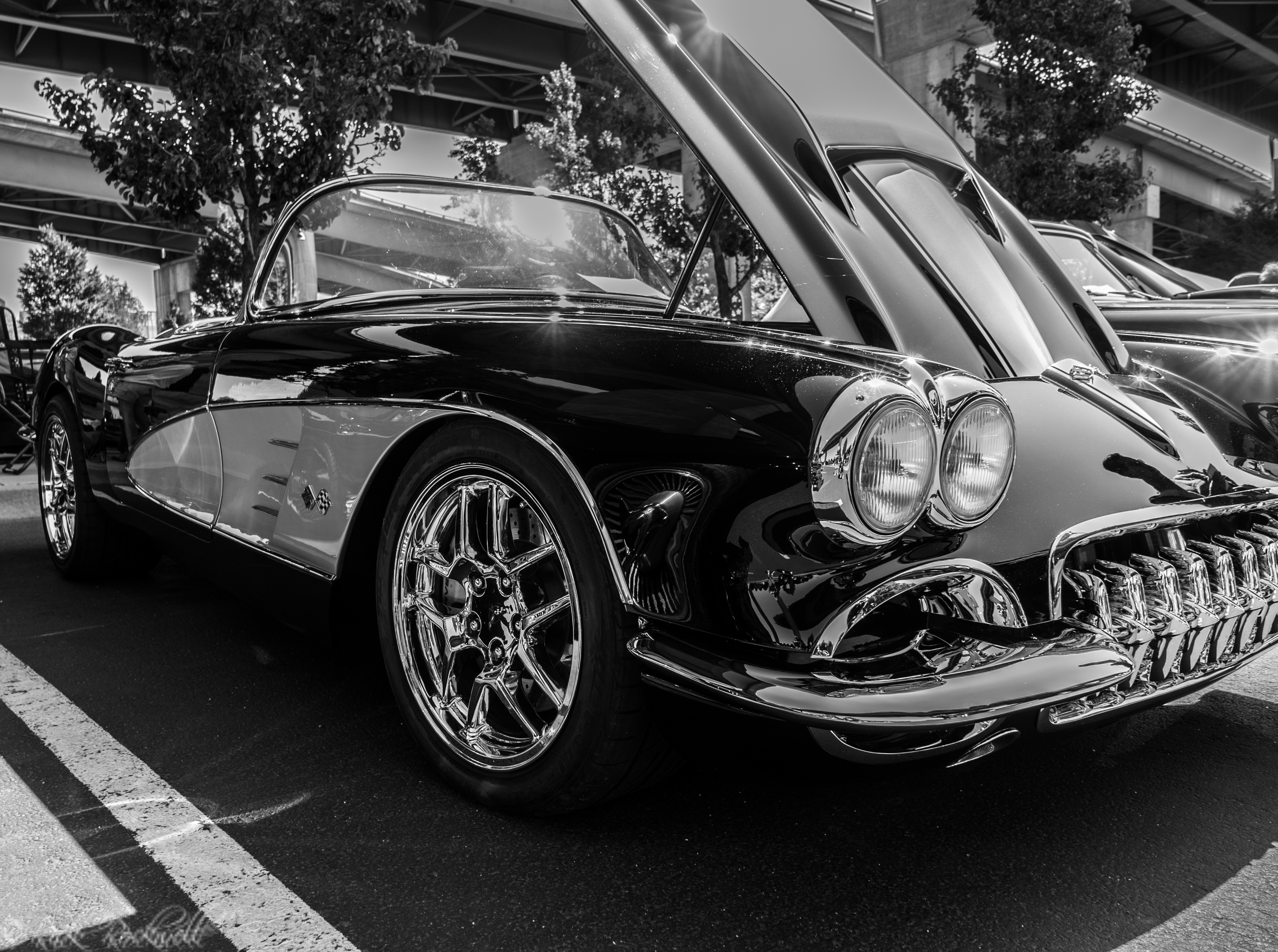 Photo of Photo Essay: American Muscle Cars