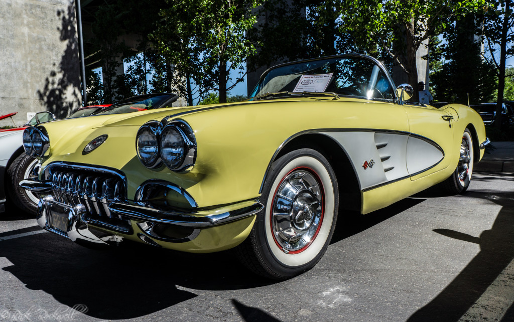 vettes for vets vet 5 (1 of 1)