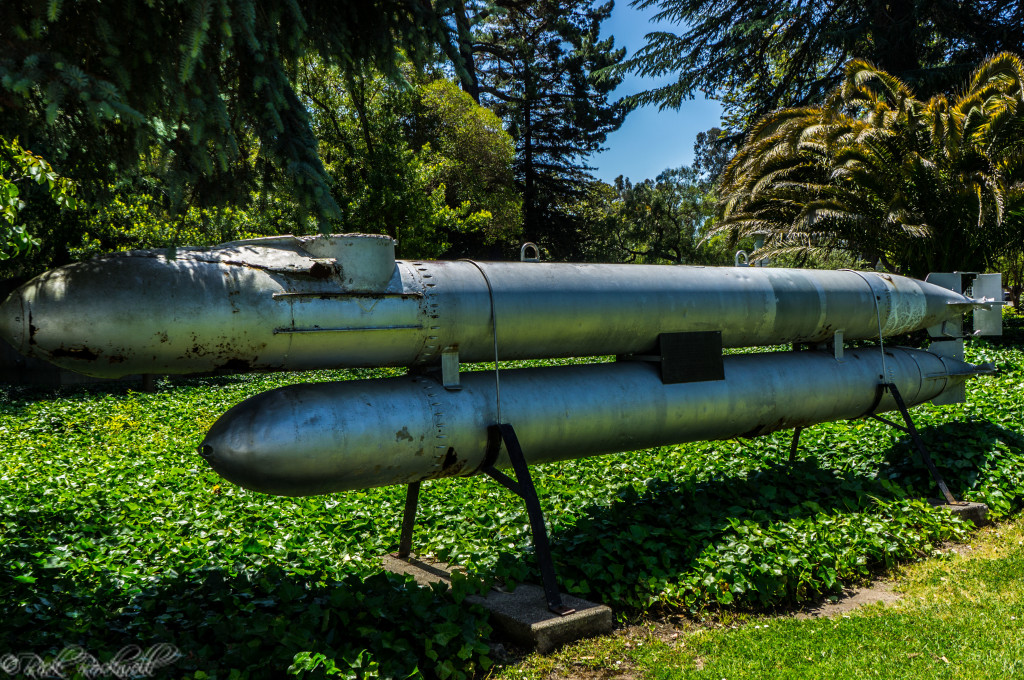 german marder (1 of 1)