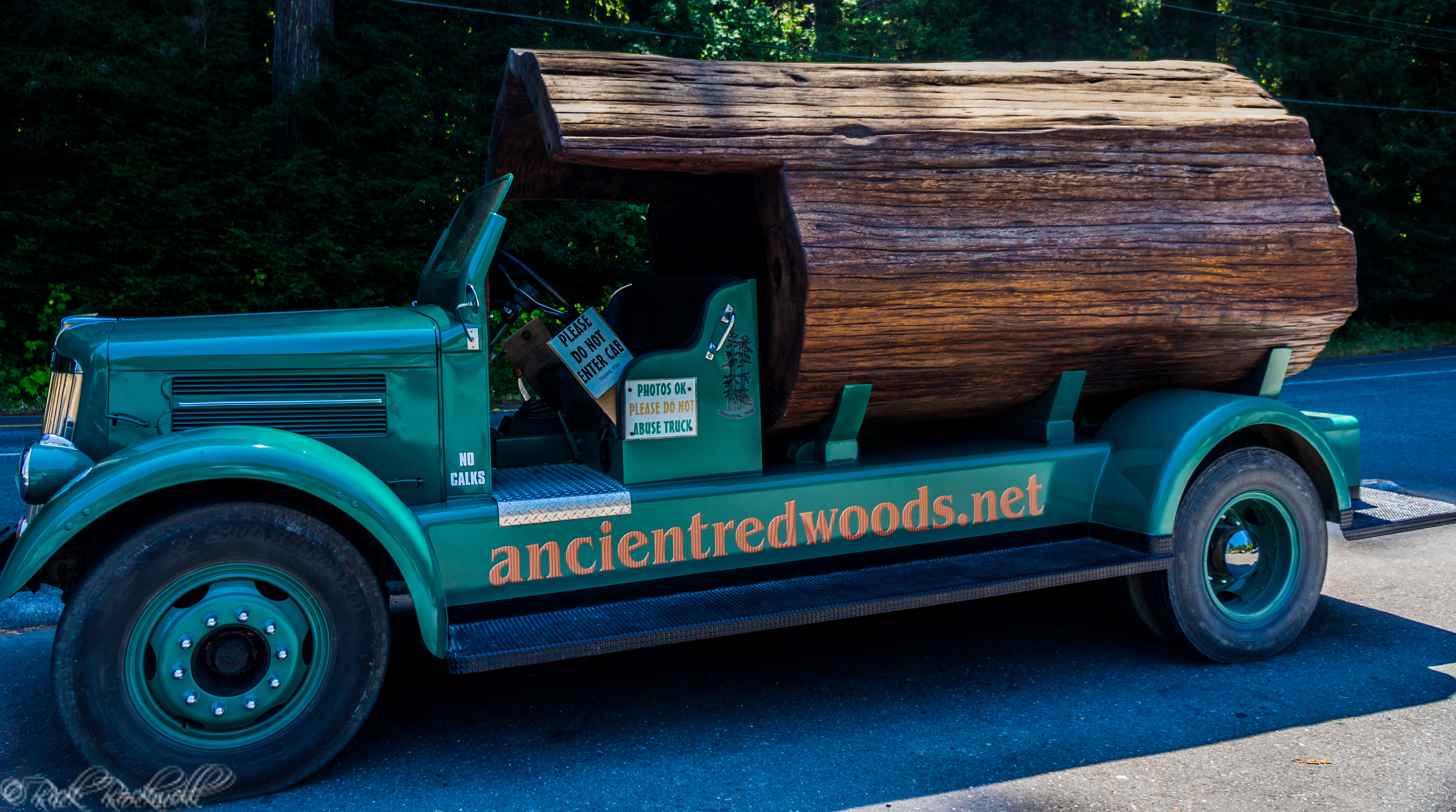 Photo of The Hollow Log Truck: a 1945 truck with a 1000 year old log