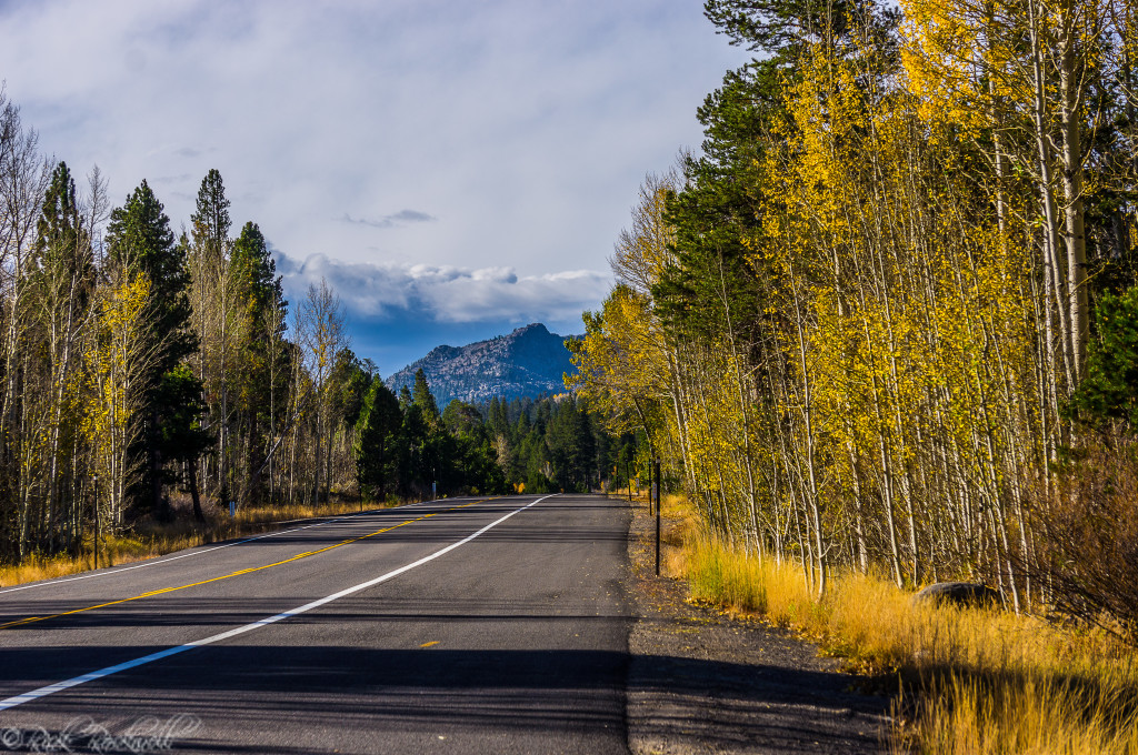 fall colors highway 88 (1 of 1)