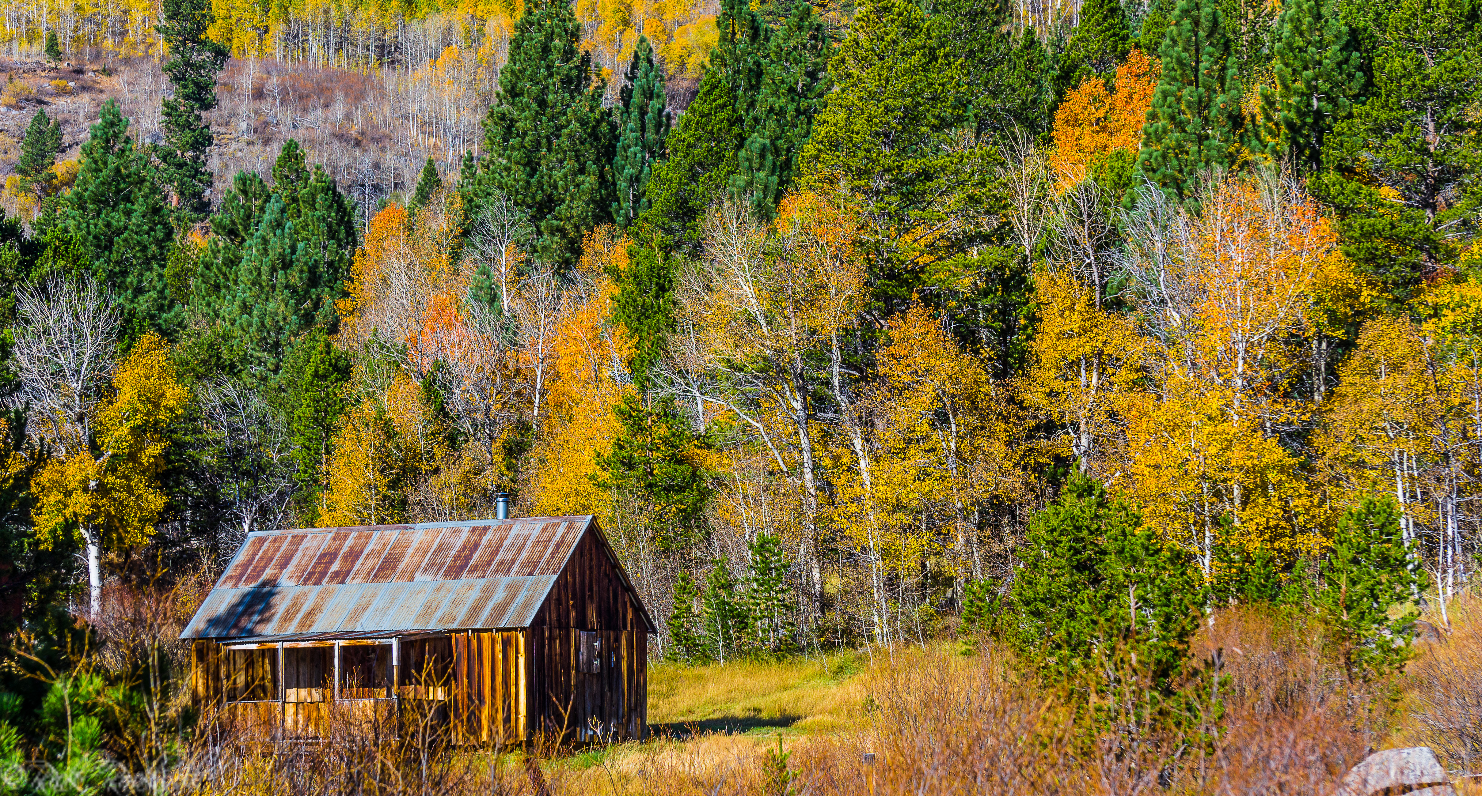 Photo of 7 tips for finding fall colors in California