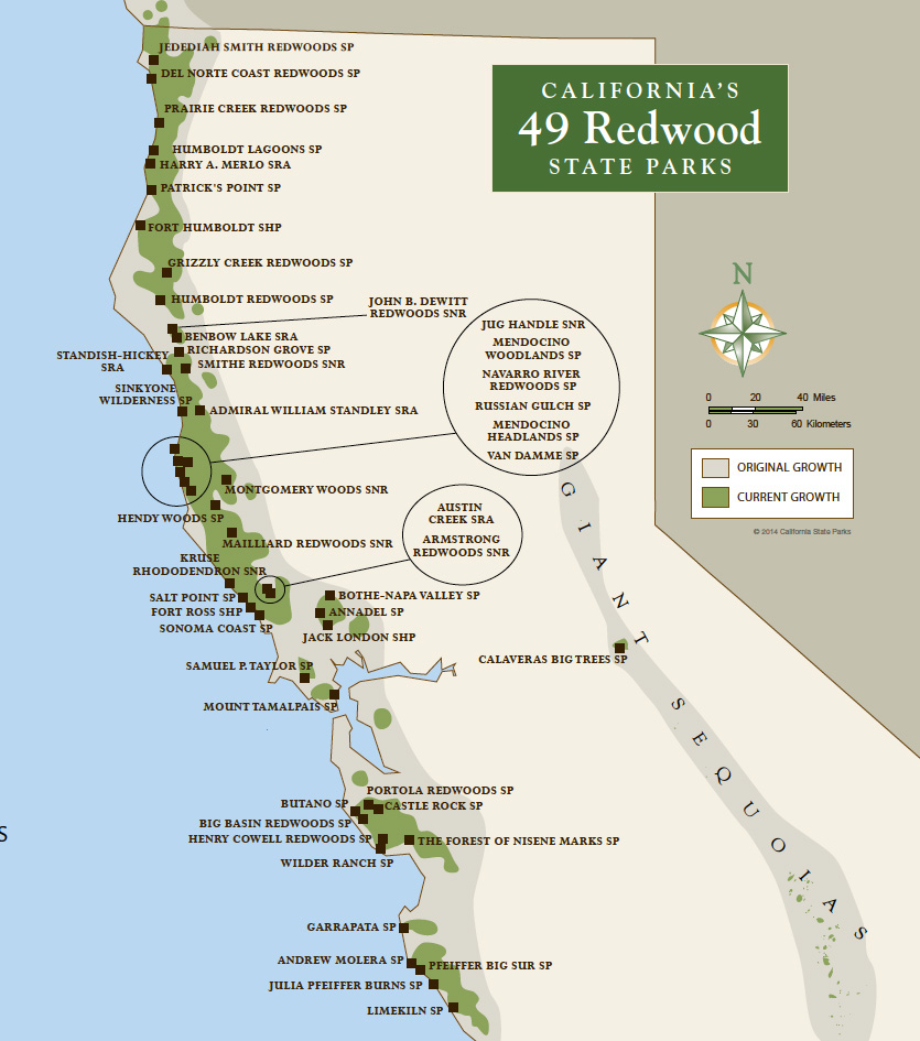 Photo of Skip Black Friday and explore California’s Redwood State Parks for Free