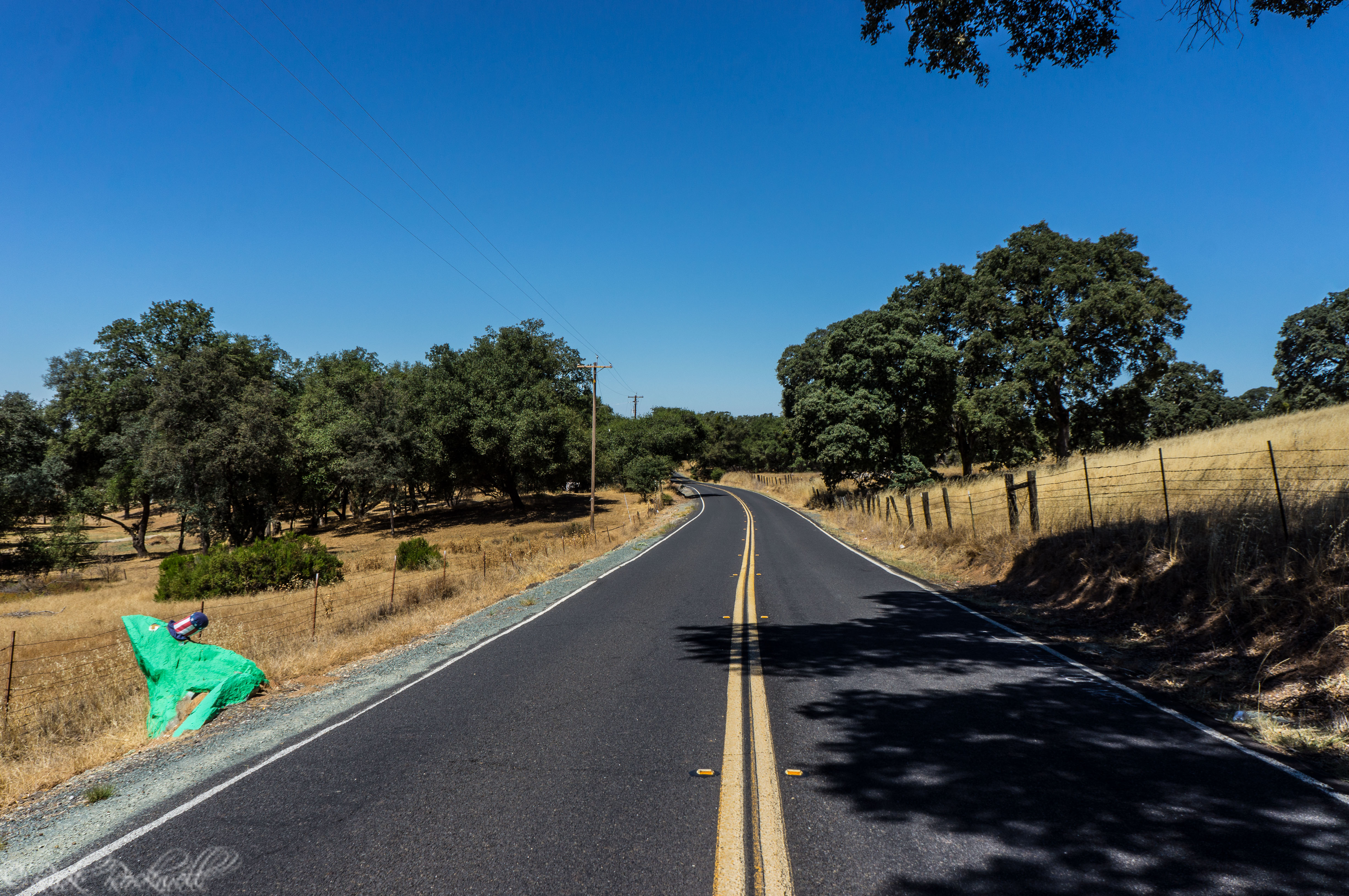 Photo of The Frog Rock of Fiddletown Rd