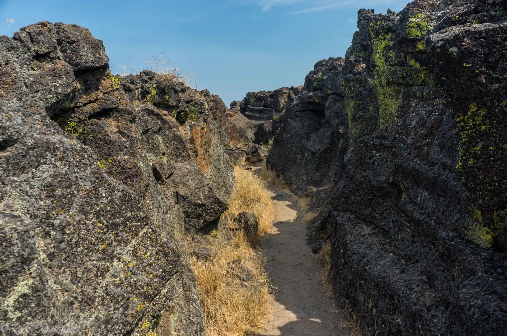 cjs trail trenches (1 of 1)