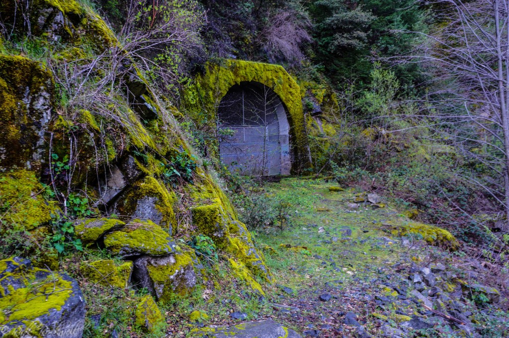 sfar tunnel (1 of 1)