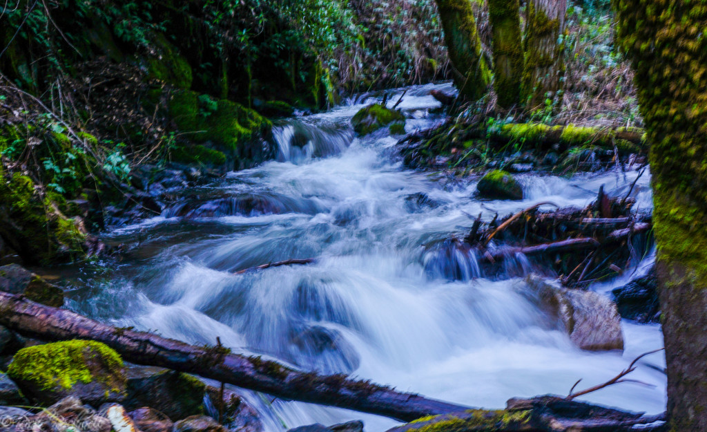 upper iowa creek (1 of 1)
