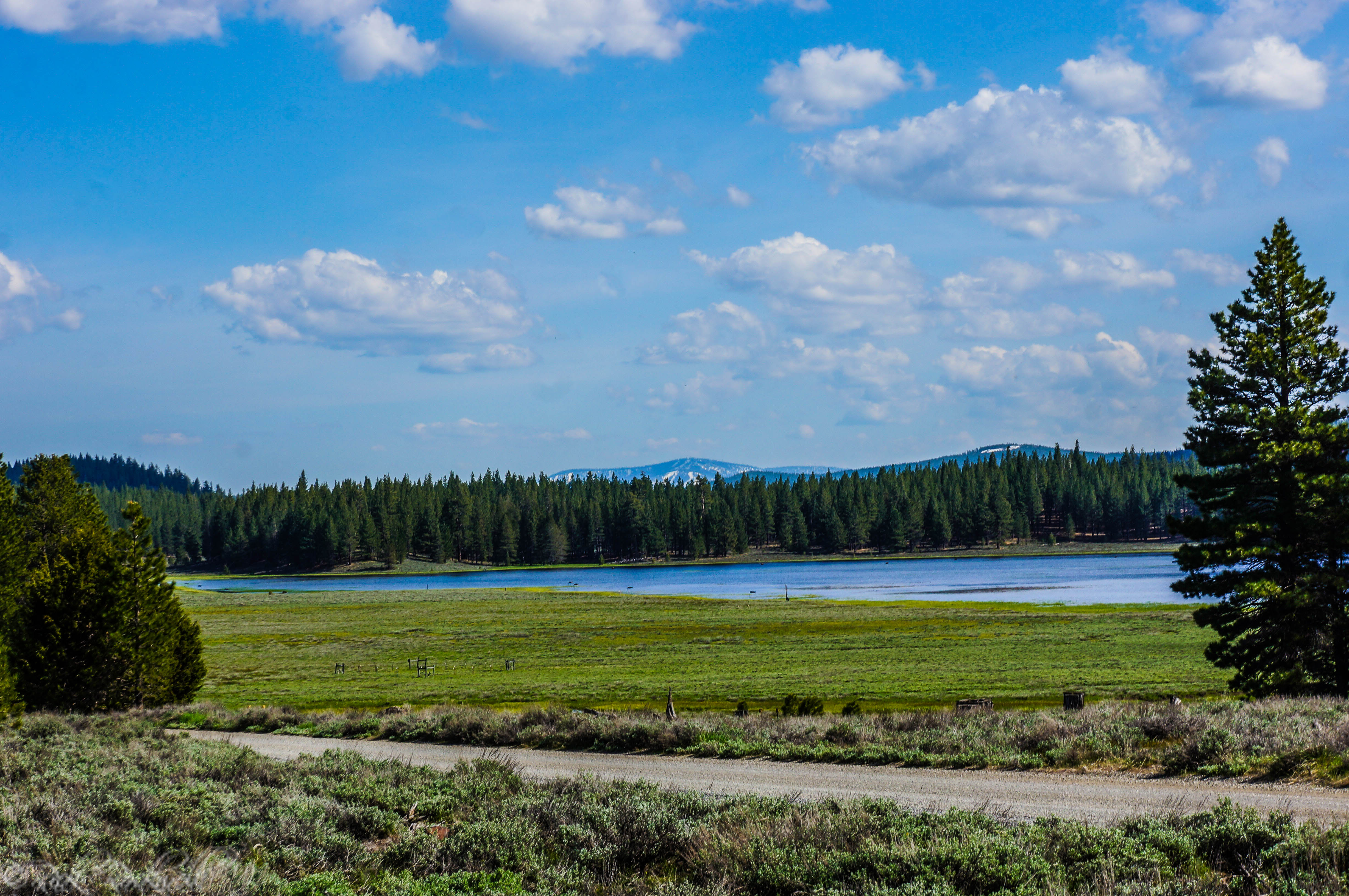 Photo of Kyburz Flat Interpretive Area: three historic eras in one scenic location