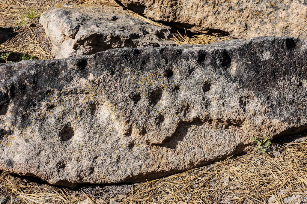 kyburz petroglyph (1 of 1)