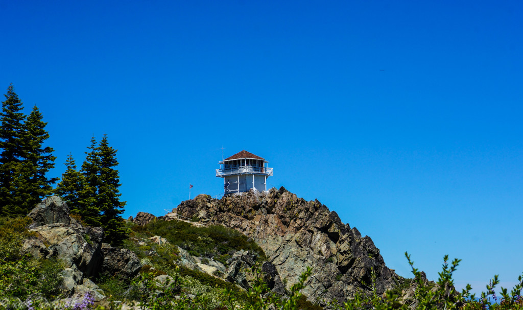 millspeak lookout distance (1 of 1)