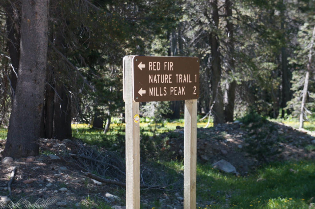 millspeak lookout road sign (1 of 1)