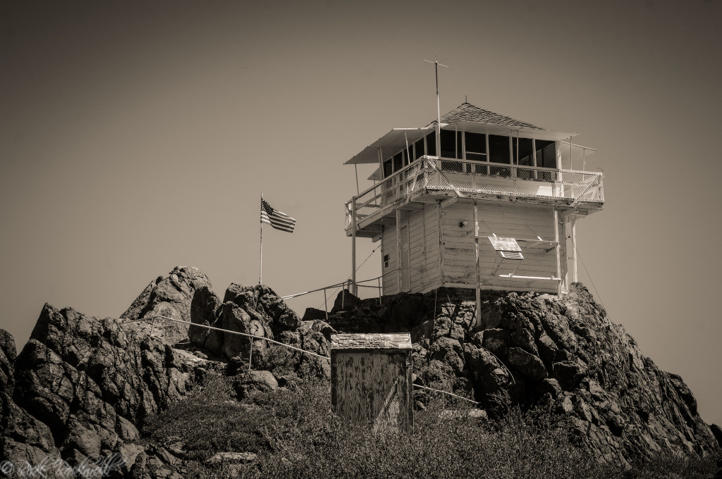 millspeak lookout vintage (1 of 1)