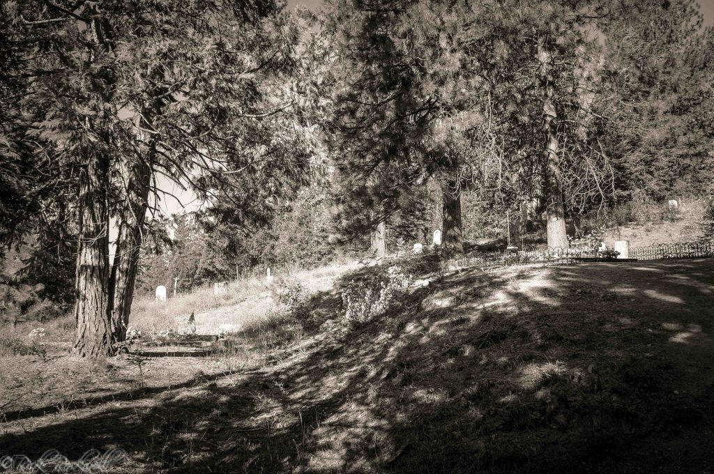 Forest City Odd Fellows Cemetery