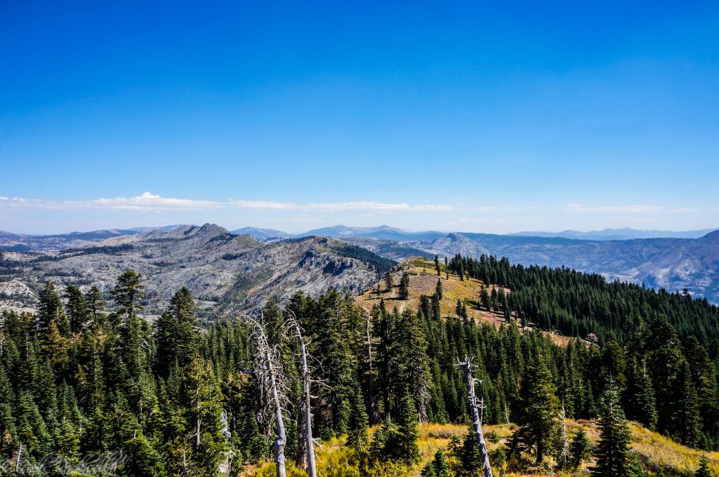 grouse-ridge-lookout-v1-1-of-1