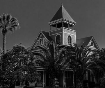 A distant view of the Cohn House