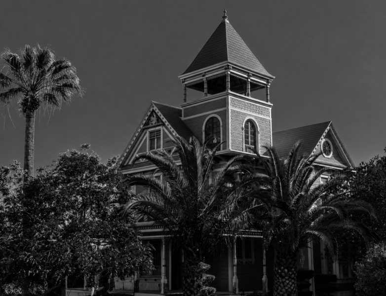 A distant view of the Cohn House