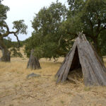 Olompali State Historic Park