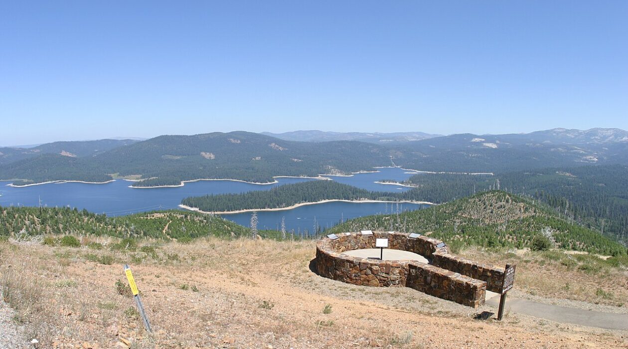 Looking at Union Valley Reservoir from Big Hill Lookout